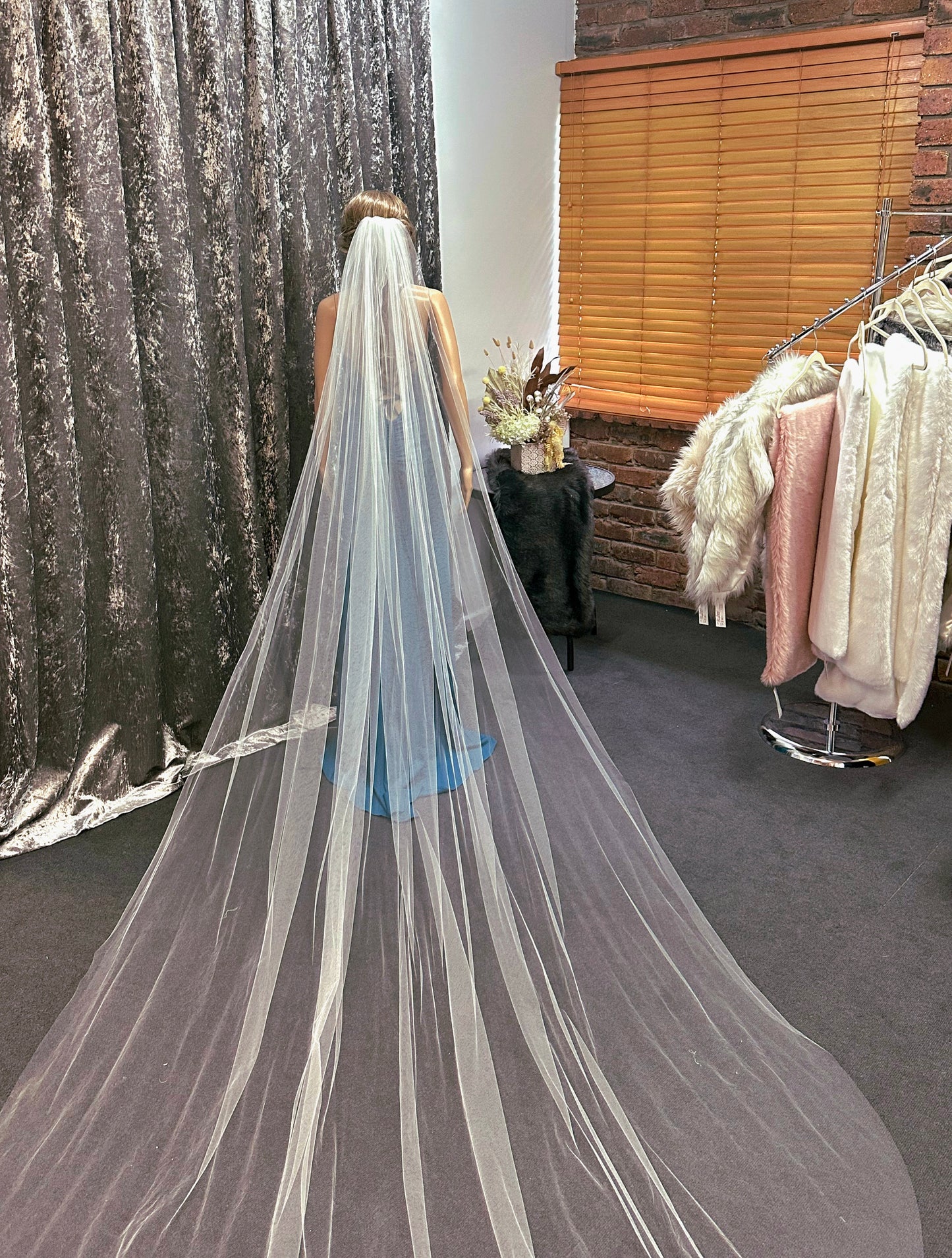 Cathedral Length Veil (3m)