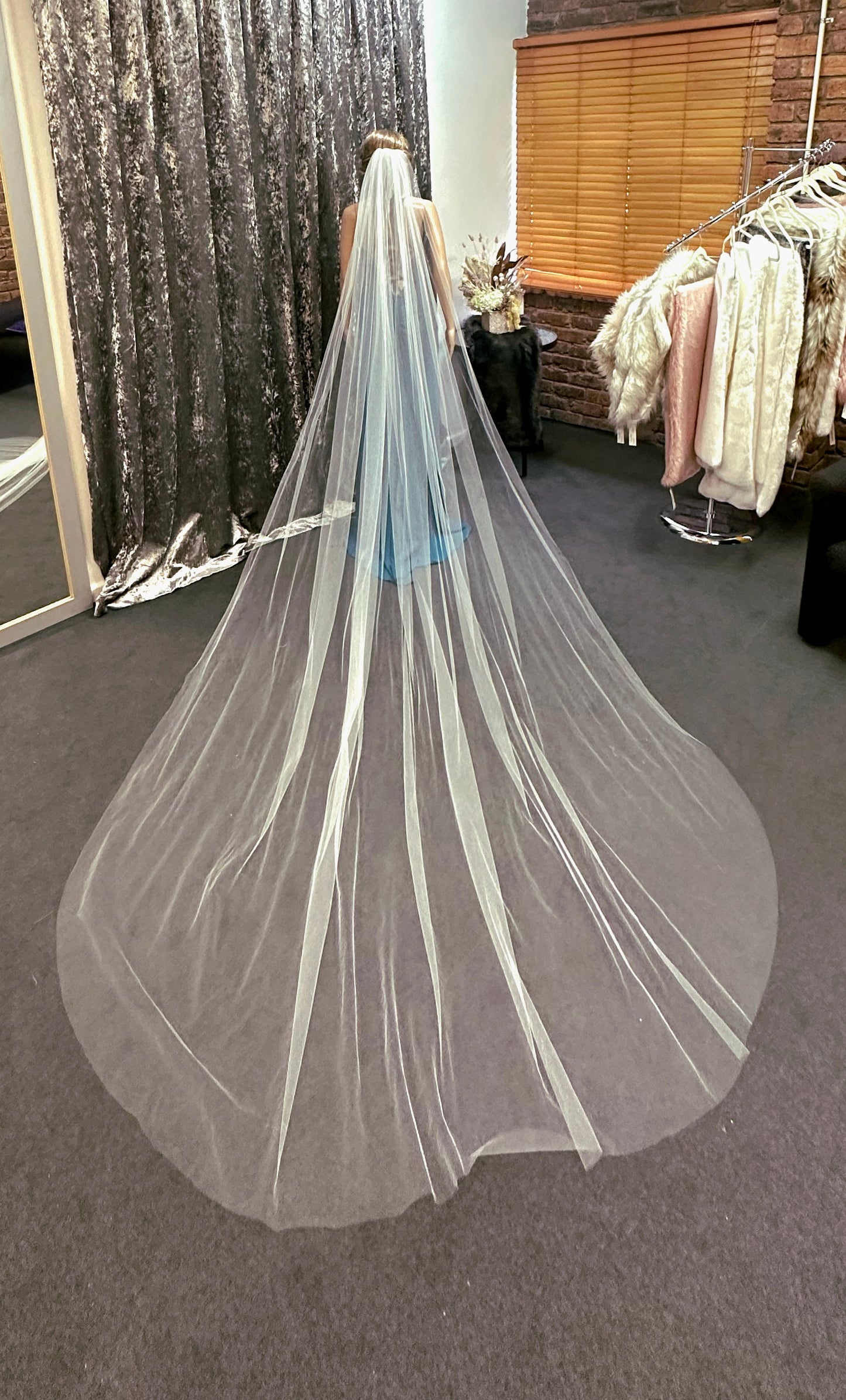 Cathedral Length Veil (3m)